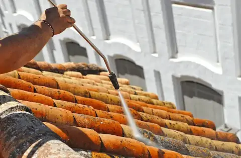 Nettoyage de toitures - Brié-et-Angonnes